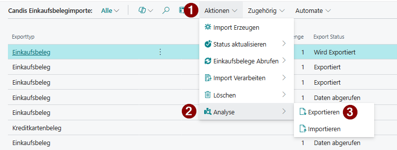 Die Aktion zum erzeugen der Analysedaten eines Belegimports