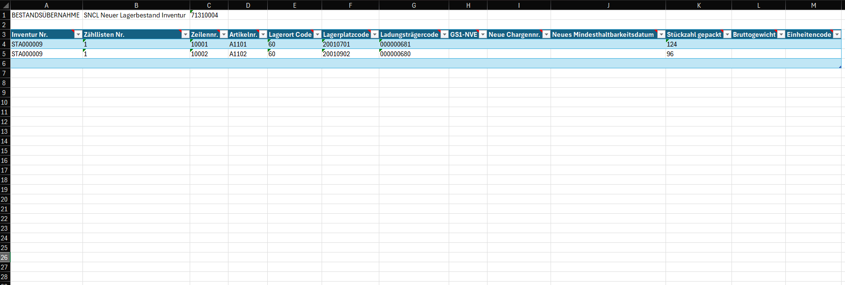 Excel-Vorlage für die Bestandsdaten