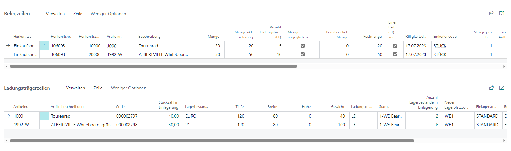 Here you can see the checked document lines and new load carrier lines